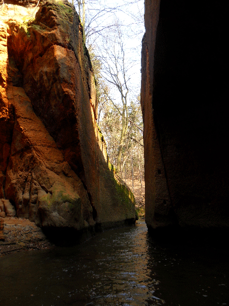 SDC12012.gif